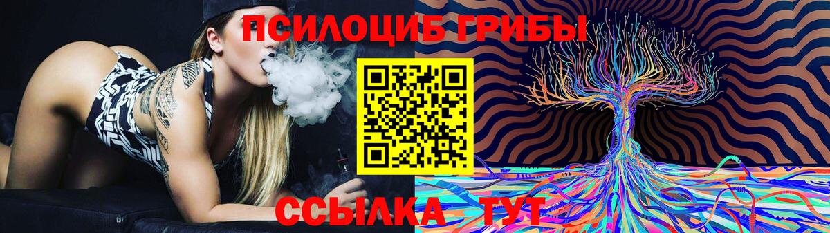 Псилоцибиновые грибы Psilocybe  Вход с VPN  наркотики  Ногинск 